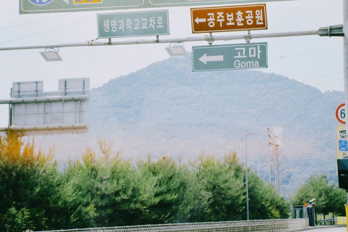 펭에서 MZ세대 타겟팅하는 핵심 전략