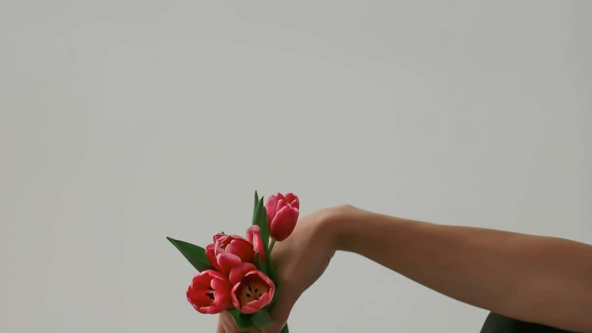베트남 인스타그램 인플루언서 협업 전략과 한국 시장 적용법