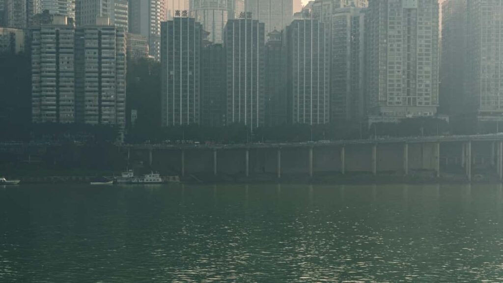 네덜란드에서 협업해야 할 텔레그램 인플루언서 10명