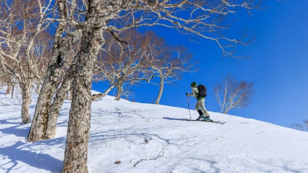 Twitch ( ) . , , , .