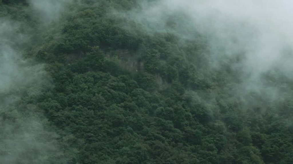 : Etsy (Georgia) , .