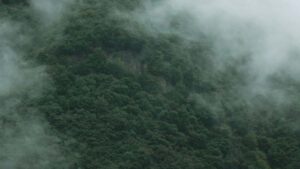 : Etsy (Georgia) , .