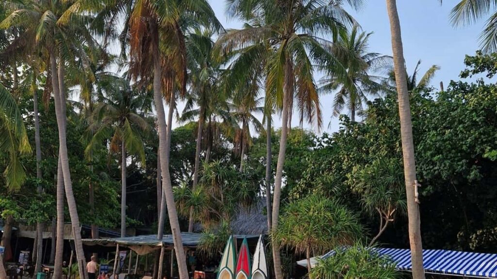 YouTube . , , (: Lazada), .