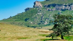 KakaoTalk . , , 2026 .